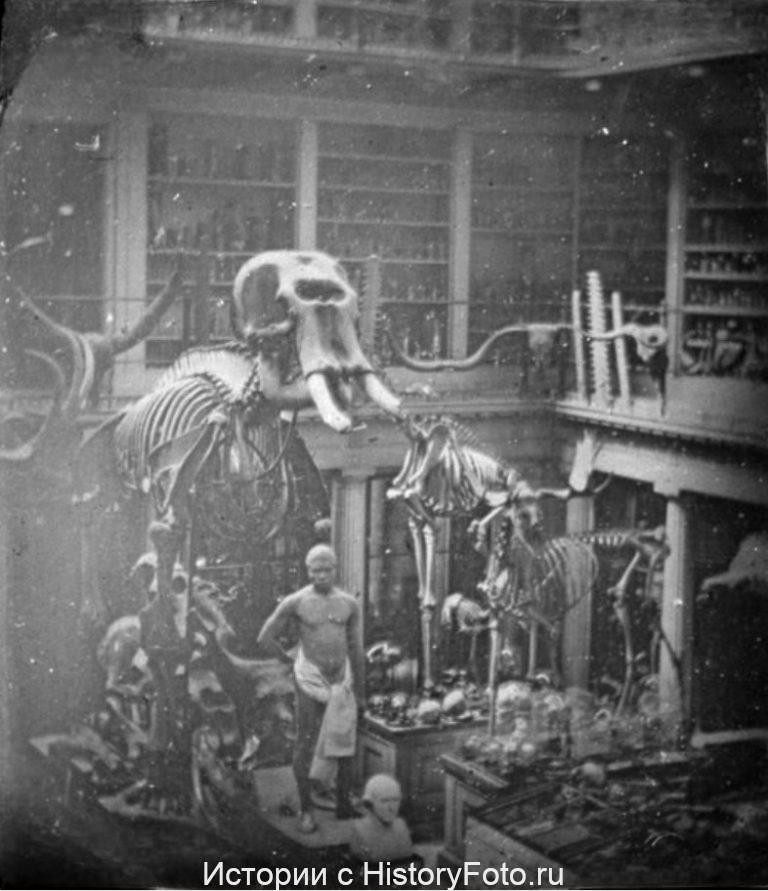 Немного истории в фотографиях 362