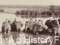 Немного истории в фотографиях 263 Немного истории в фотографиях 263