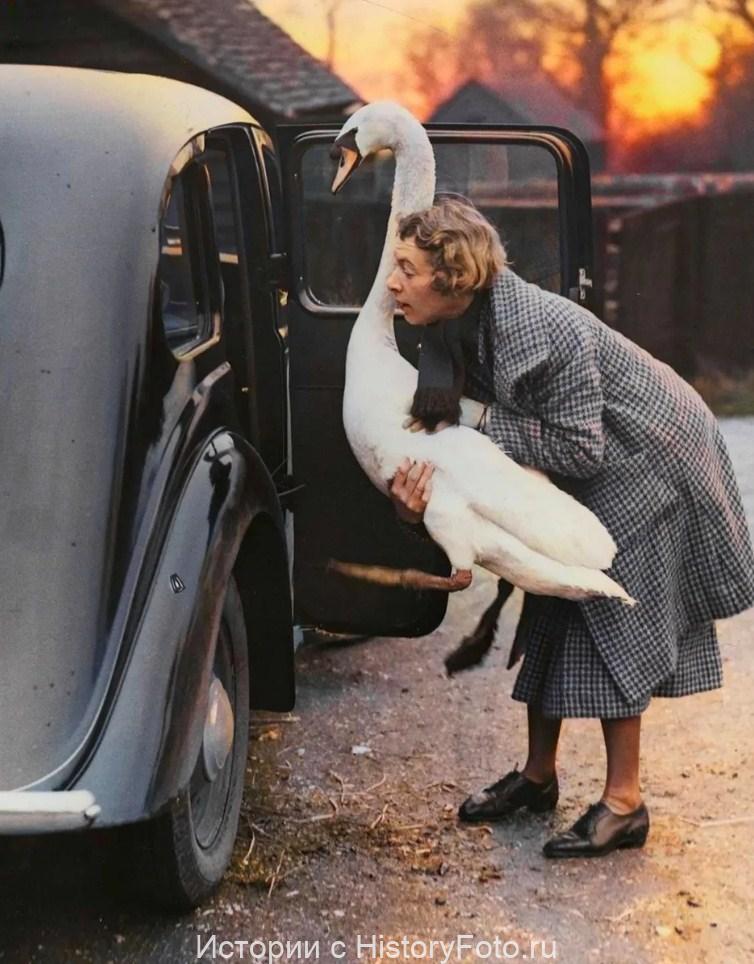 Немного истории в фотографиях 329