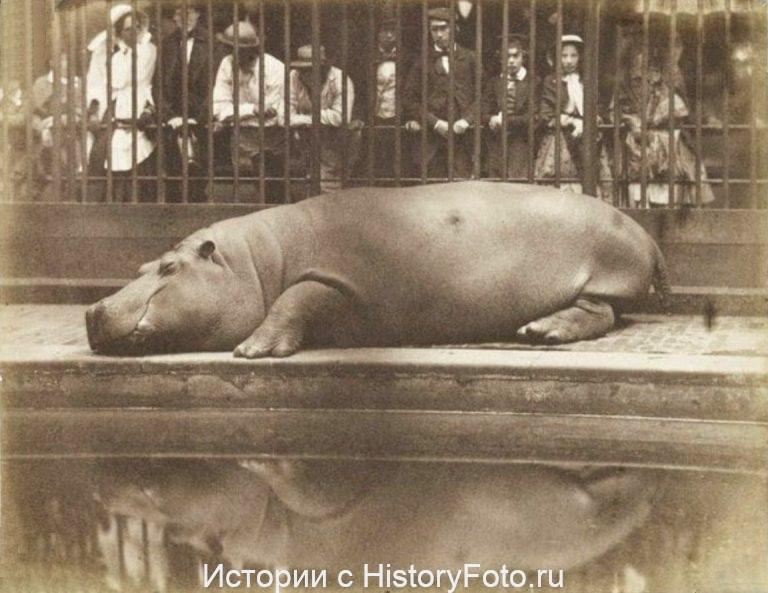 Немного истории в фотографиях 361 Немного истории в фотографиях 361