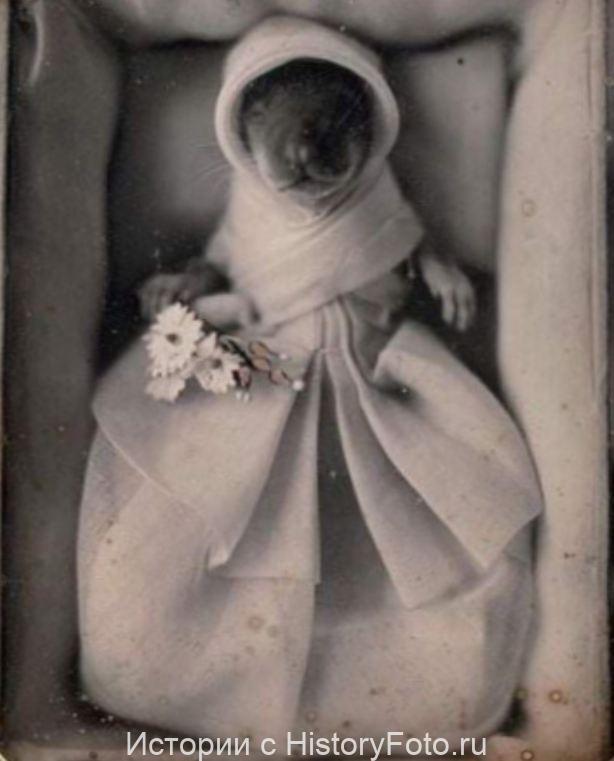 Немного истории в фотографиях 100 Немного истории в фотографиях 100