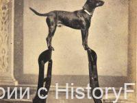 Немного истории в фотографиях. 124 Немного истории в фотографиях. 124