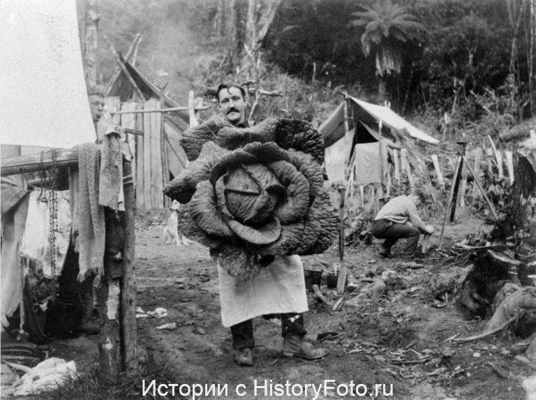 Немного истории в фотографиях. 142 Немного истории в фотографиях. 142