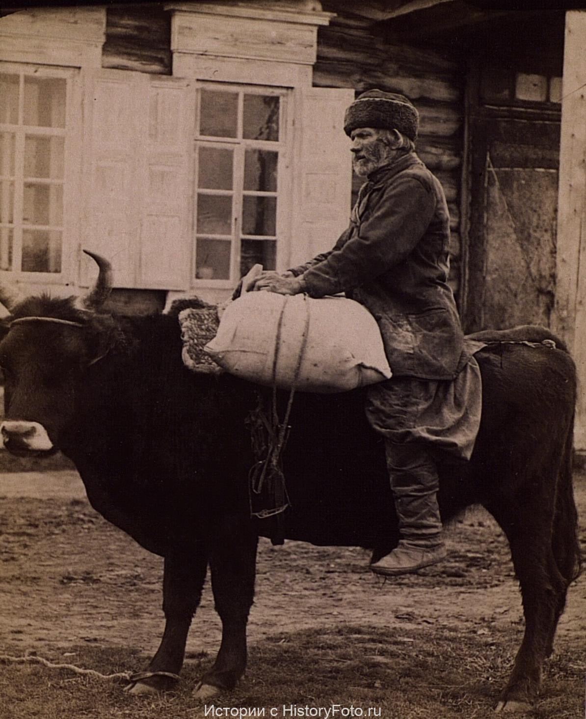 Немного истории в фотографиях 94