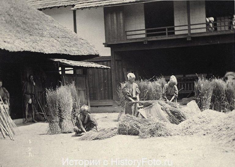 Немного истории в фотографиях 251 Немного истории в фотографиях 251