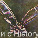 Немного истории в фотографиях 229