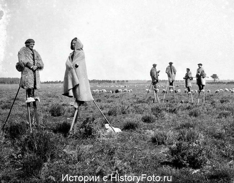 Немного истории в фотографиях. 149 Немного истории в фотографиях. 149