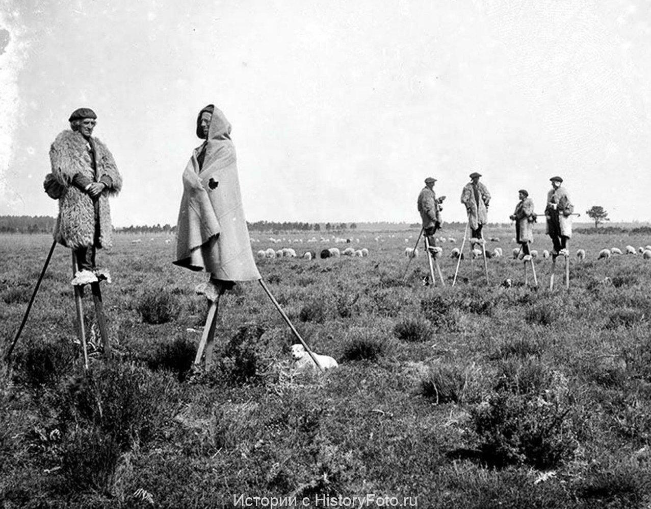 Немного истории в фотографиях. 149