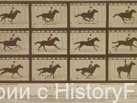 Немного истории в фотографиях 206 Немного истории в фотографиях 206