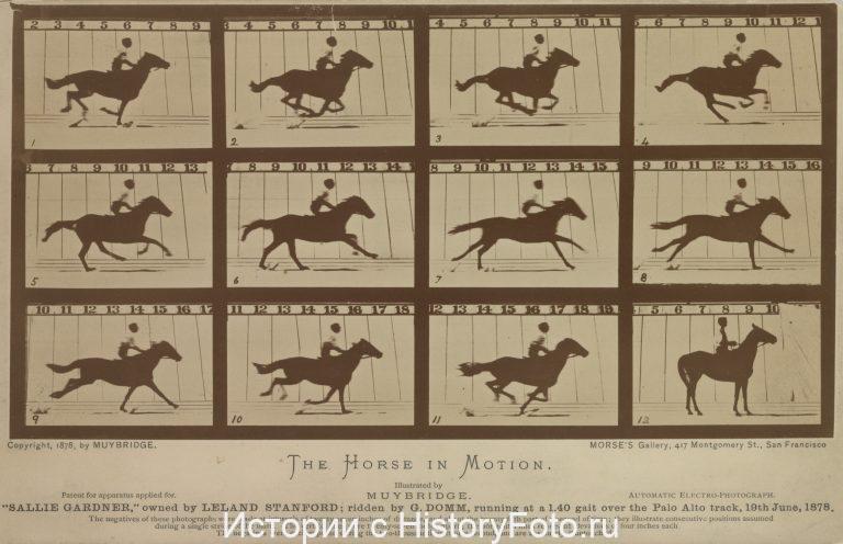 Немного истории в фотографиях 206 Немного истории в фотографиях 206