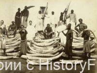 Немного истории в фотографиях 276 Немного истории в фотографиях 276