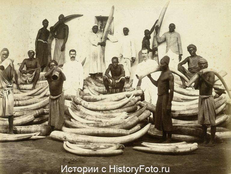 Немного истории в фотографиях 276 Немного истории в фотографиях 276