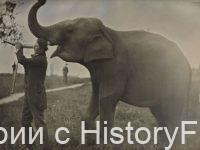 Немного истории в фотографиях 248 Немного истории в фотографиях 248