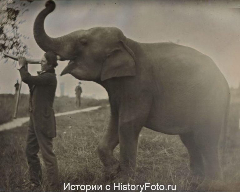 Немного истории в фотографиях 248 Немного истории в фотографиях 248